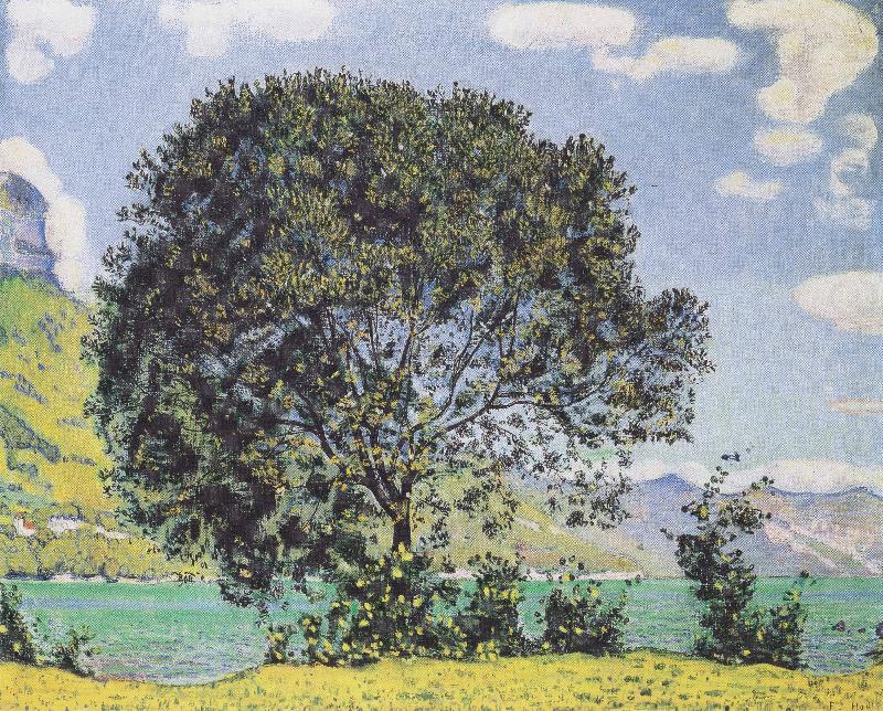 Ferdinand Hodler Baum am Brienzersee vom Bodeli aus china oil painting image